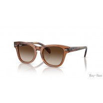 Ray Ban Kids Transparent Brown And Brown RB9707S Sunglasses