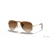 Ray Ban Aviator Kids Gold And Brown RB9506S Sunglasses