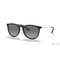 Ray Ban Erika Collection Black And Black RB4171 Sunglasses