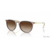 Ray Ban Erika Classic Transparent Light Brown And Brown RB4171 Sunglasses