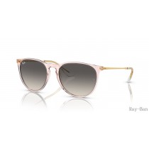Ray Ban Erika Classic Transparent Pink And Grey RB4171 Sunglasses