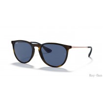 Ray Ban Erika Color Mix Havana And Blue RB4171 Sunglasses