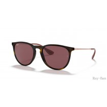 Ray Ban Erika Color Mix Havana And Violet RB4171 Sunglasses