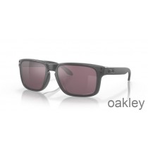 Oakley Holbrook Prizm Daily Polarized Lenses with Steel Frame Sunglasses