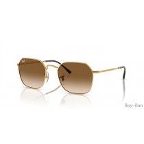 Ray Ban Jim Gold And Light Brown RB3694 Sunglasses