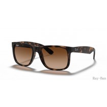 Ray Ban Justin Classic Havana And Brown RB4165 Sunglasses