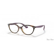 Ray Ban Optics Kids Havana Frame RY1612 Eyeglasses