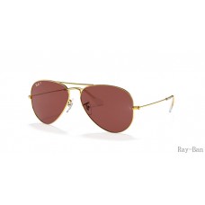 Ray Ban Aviator Classic Gold And Violet RB3025 Sunglasses