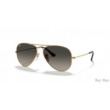 Ray Ban Aviator Havana Collection Gold And Grey RB3025 Sunglasses