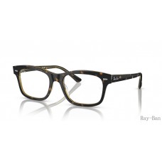 Ray Ban Burbank Optics Havana On Transparent Frame RB5383F Eyeglasses