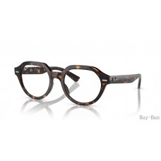 Ray Ban Gina Optics Havana Frame RB7214F Eyeglasses
