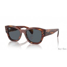 Ray Ban Jorge Striped Havana And Blue RB7681SF Sunglasses