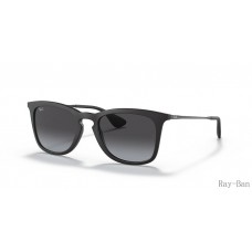 Ray Ban Black And Grey RB4221 Sunglasses