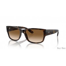 Ray Ban Havana And Clear/Brown RB4388 Sunglasses
