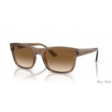Ray Ban Transparent Light Brown And Brown RB4428 Sunglasses