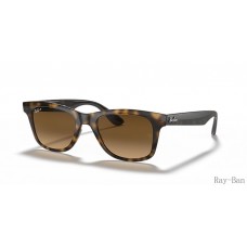 Ray Ban Light Havana And Brown RB4640 Sunglasses