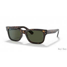 Ray Ban Burbank Havana And Green RB2283 Sunglasses