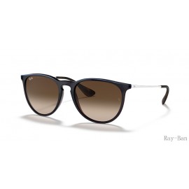 Ray Ban Erika Classic Blue And Brown RB4171 Sunglasses