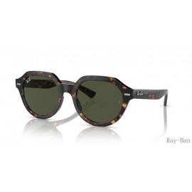 Ray Ban Gina Havana And Green RB4399 Sunglasses
