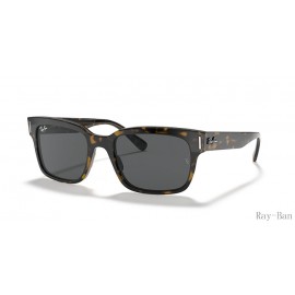 Ray Ban Jeffrey Havana On Transparent Brown And Grey RB2190 Sunglasses