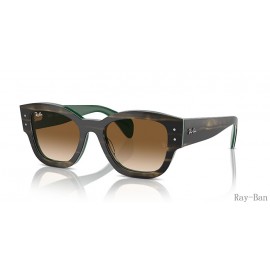 Ray Ban Jorge Striped Green On Green And Clear/Brown RB7681SF Sunglasses