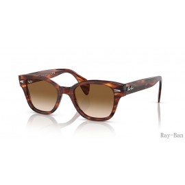 Ray Ban Striped Havana And Brown RB0880S Sunglasses