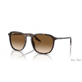 Ray Ban Havana And Light Brown RB2203 Sunglasses