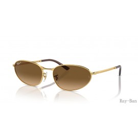 Ray Ban Gold And Brown RB3734 Sunglasses