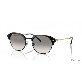 Ray Ban Black On Gold And Clear/Grey RB4429 Sunglasses