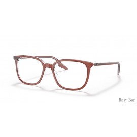Ray Ban Optics Brown On Transparent Frame RB5406 Eyeglasses