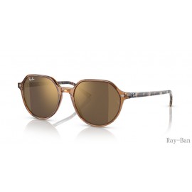 Ray Ban Thalia Transparent Brown And Gold RB2195F Sunglasses