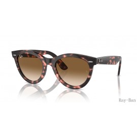 Ray Ban Wayfarer Way Pink Havana And Clear/Brown RB2241 Sunglasses